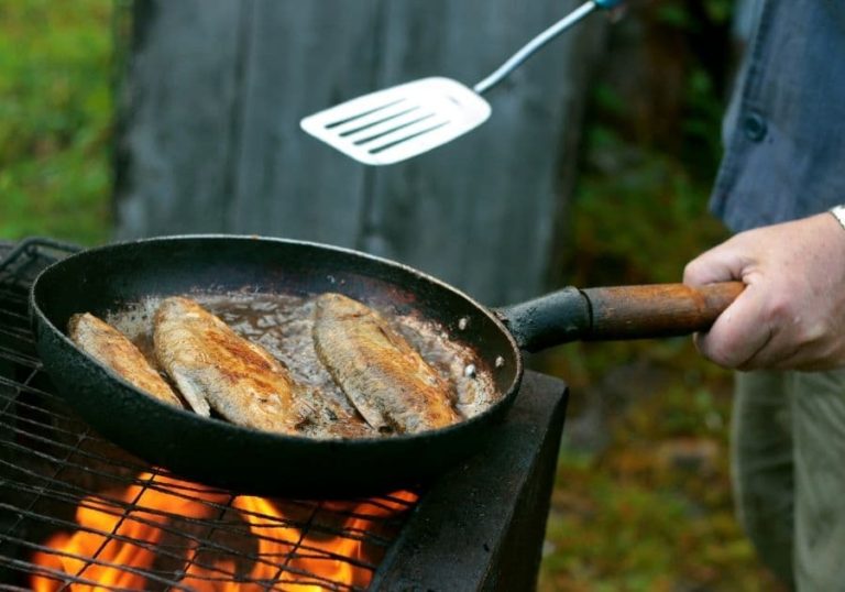 Top 10 Best Pans For Frying Fish in 2022